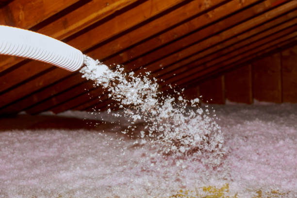 Best Energy Efficiency Insulation in Albany, MO