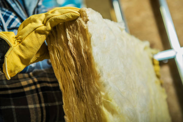Best Residential Insulation in Albany, MO